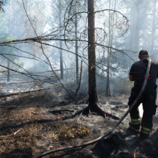 Tänavu on puhkenud juba 217 metsa- ja maastikutulekahju