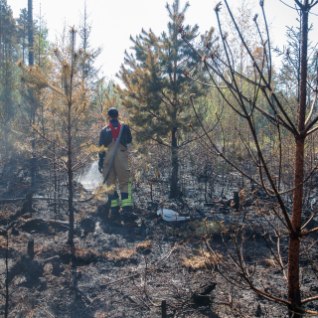 Toila vallas lõõmava maastiku- ja metsapõlengu kustutamine võib kesta terve nädala