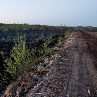 Pärnumaal põles maastik ning Raplamaal mets