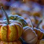 NÄDALAMENÜÜ | 30. oktoober – 5. november: igatmoodi lihtsad ja maitsvad kõrvitsatoidud. Taljesõbralikult