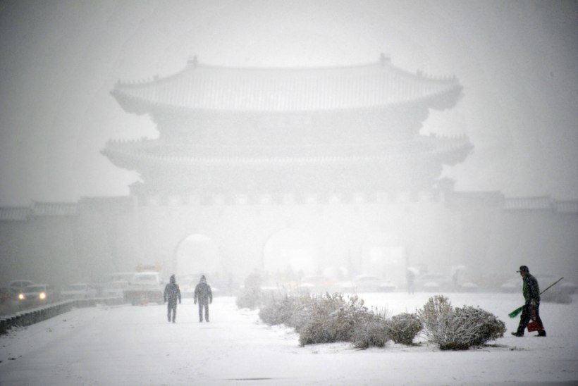PILTUUDIS: Lõuna-Koread tabas tihe lumesadu