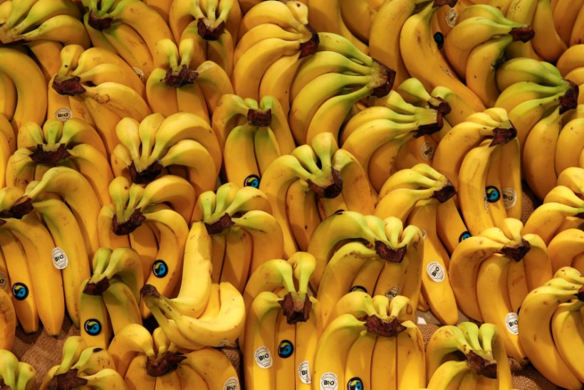 Smuutisse edaspidi üks vili vähem? Banaani kilohind kerkis viiendiku võrra!