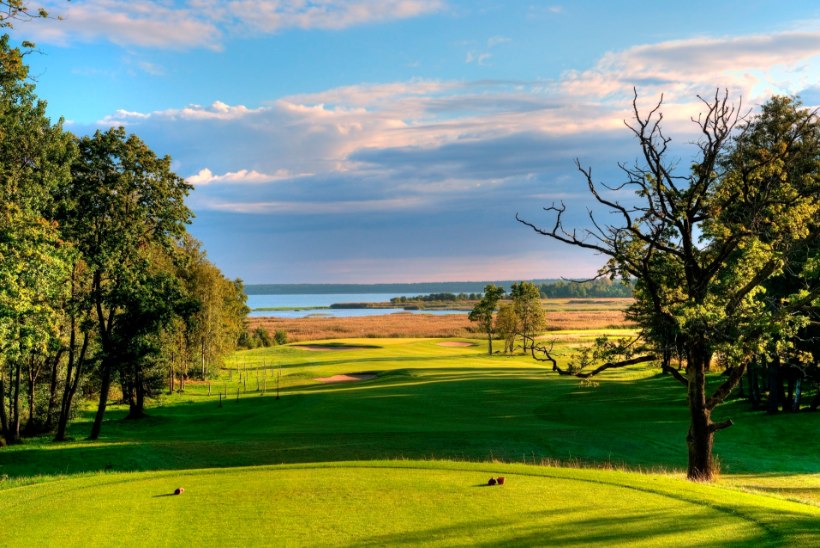 Eestisse tuleb golfi pikkuslöögi maailmameister