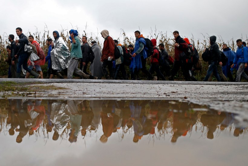 GALERII | Sloveenia lubas Horvaatiast siseneda tuhandetel migrantidel, kes olid jäänud mudasse külma vihma kätte