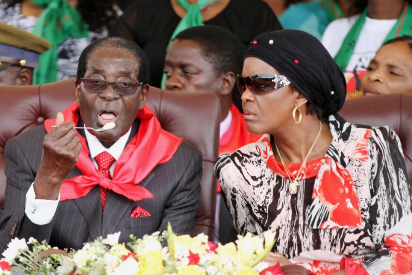 Zimbabwe diktaator nautis sünnipäeval elevandiliha