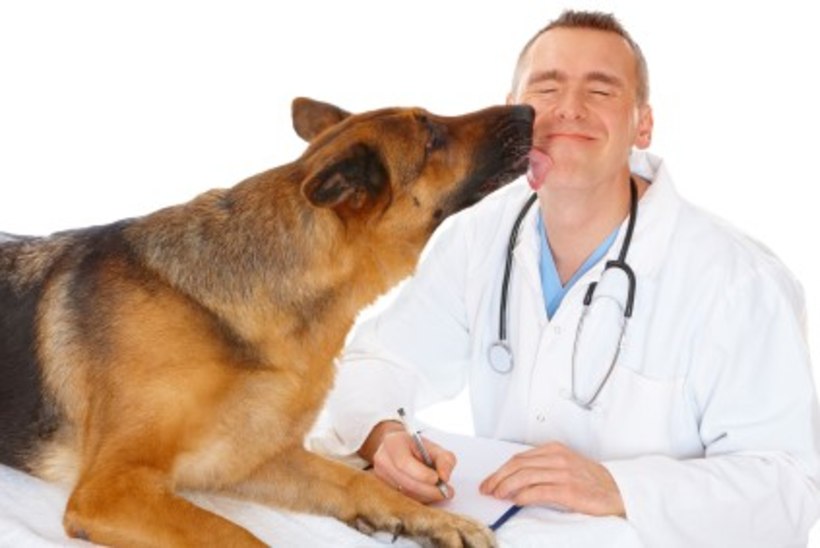 25. APRILL: Ülemaailmne veterinaaride päev