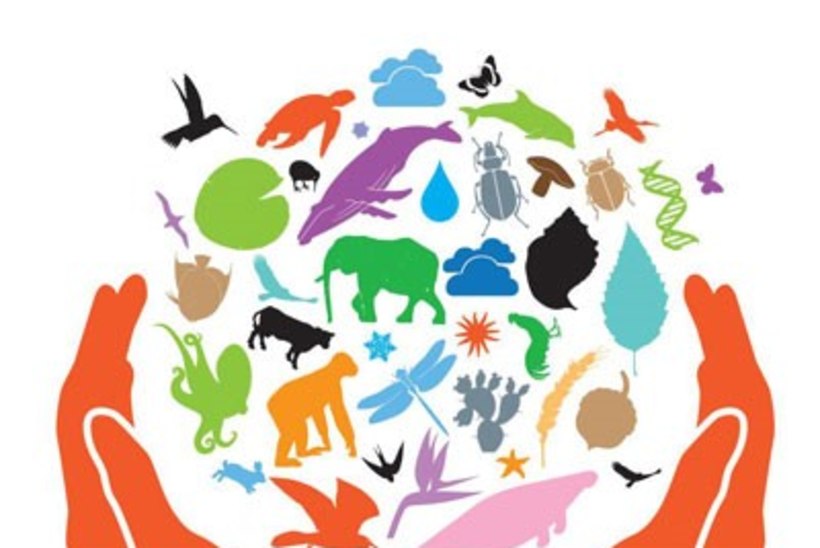 22. MAI: Ülemaailmne biolooglise mitmekesisuse päev