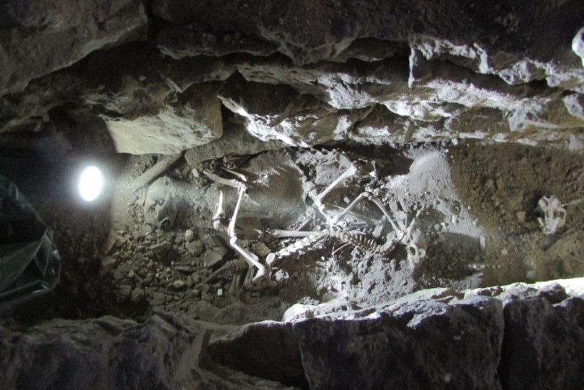 Renoveeritava mõisa põranda alt leitud kummalise skeleti saladus sai lahendatud
