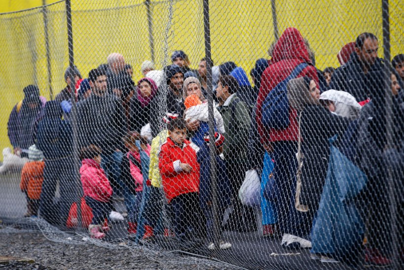 AUSTRIA EI HOOLI EUROOPA LIIDU KRIITIKAST: päevas lastakse üle piiri vaid 80 migranti
