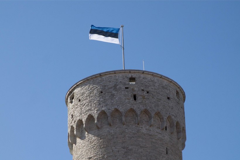 Eesti lipu päeval käis Pika Hermanni tornis enam kui pool tuhat inimest