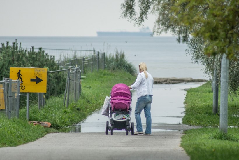 GALERII | Merimetsa kollektor läks vihmast umbe, ümbruskond jäi vee alla