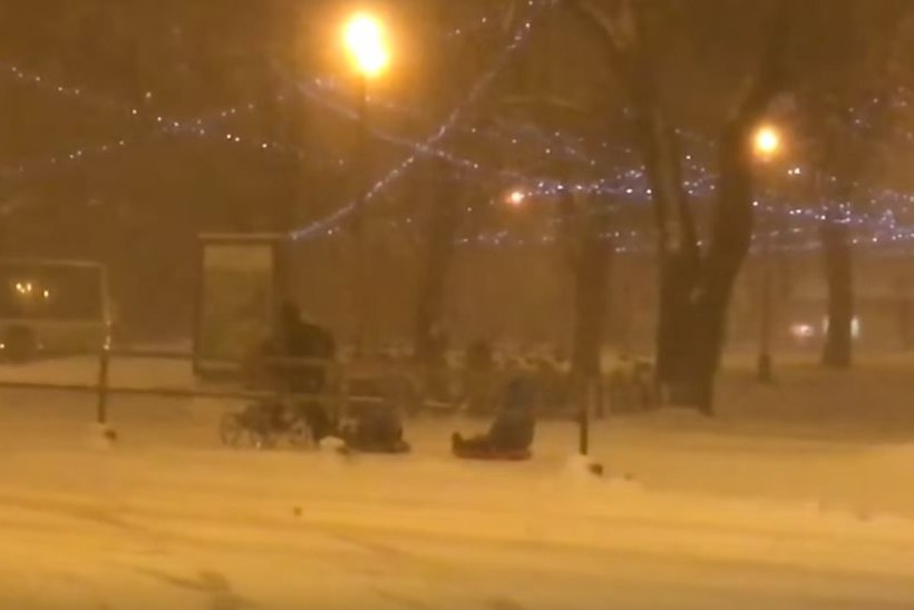 VIDEO | Naismuusik näitas ilmataadile, kuidas asjad käivad: mis see ära pole kolme last läbi lumetormi vedada!