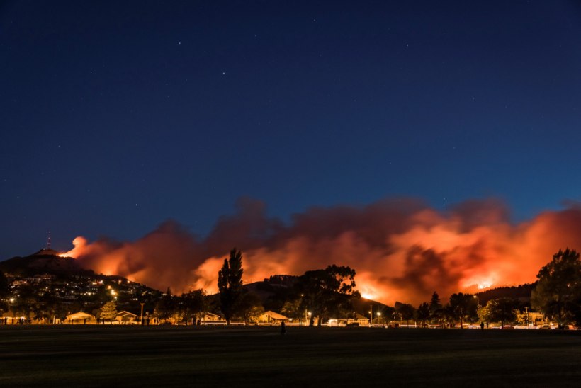 FOTOD | Ulatuslik metsapõleng Christchurchi linna all on hävitanud 11 maja