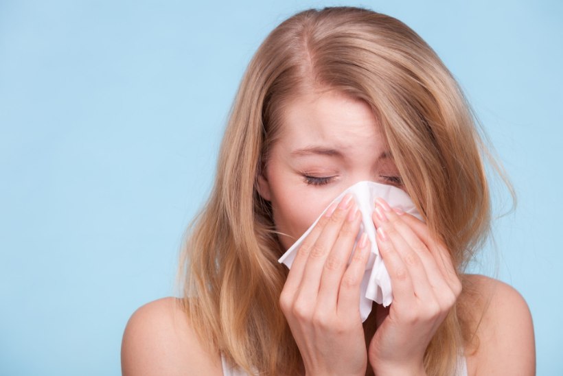 Kuus nõksu kevadise allergiapuhangu leevendamiseks