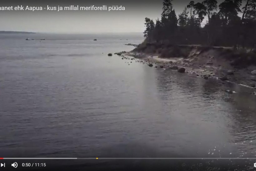 VIDEO: Aapua landid. Osa III - kus ja kuidas meriforelli püüda