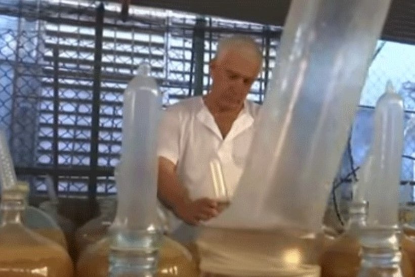 VIDEO | Kuubal kasutatakse veini tegemisel kondoome