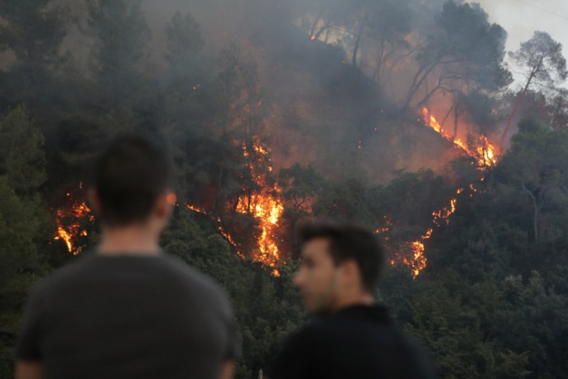 FOTOD | Prantsusmaa lõunaosa laastab ulatuslik metsapõleng