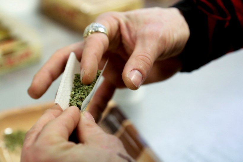 Uruguays saab alates tänasest ametlikult marihuaanat osta