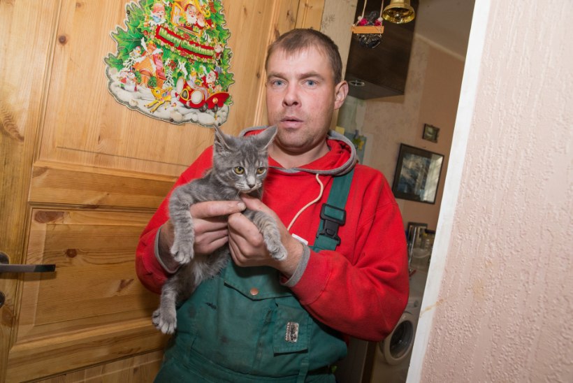 FOTOD | PÕLENGUOHVER: lööklaine paiskas mu pikali ja hirmutas kassi diivani alla!