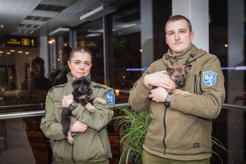 FOTOD | Eesti piirivalve ridadesse lisandusid kaks karvast ja armast liiget