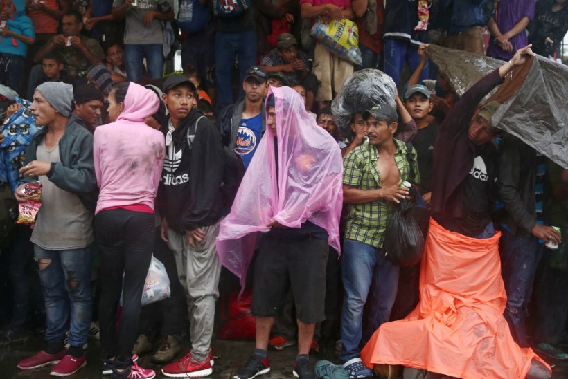 USA-sse on suundumas migrantidest koosnev karavan