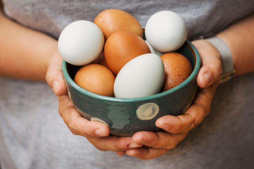 UUED SOOVITUSED: kui palju võib süüa muna, et see ei rikuks tervist?