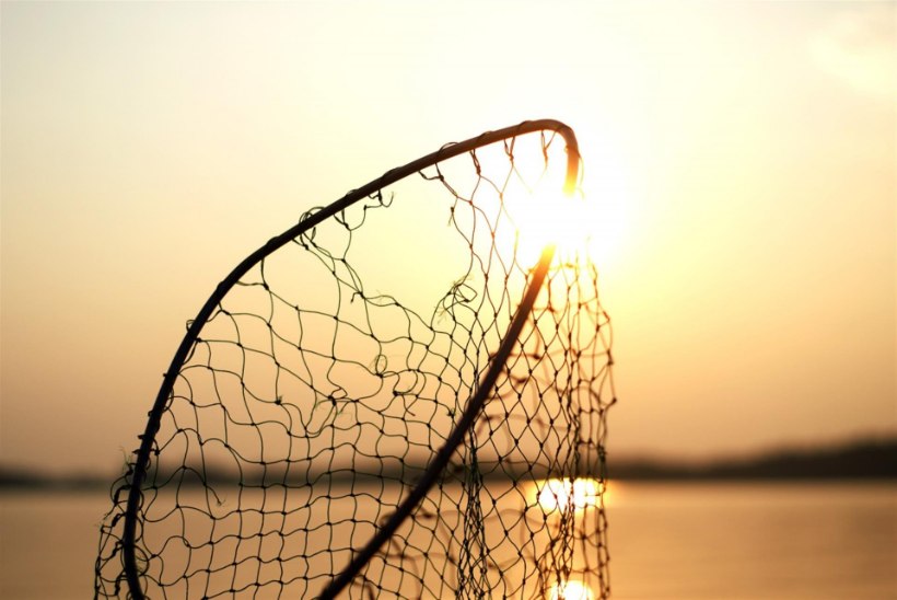 Pärnus peeti kinni kolm isikut, keda kahtlustatakse ulatuslikes kalapüügikuritegudes