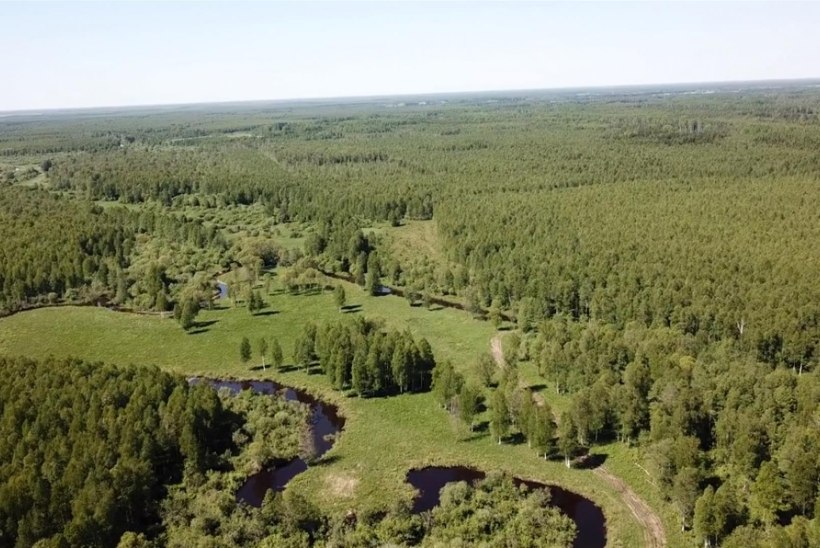 Droonivideo: Tartumaal avati terveks tehtud Laeva jõe lõik