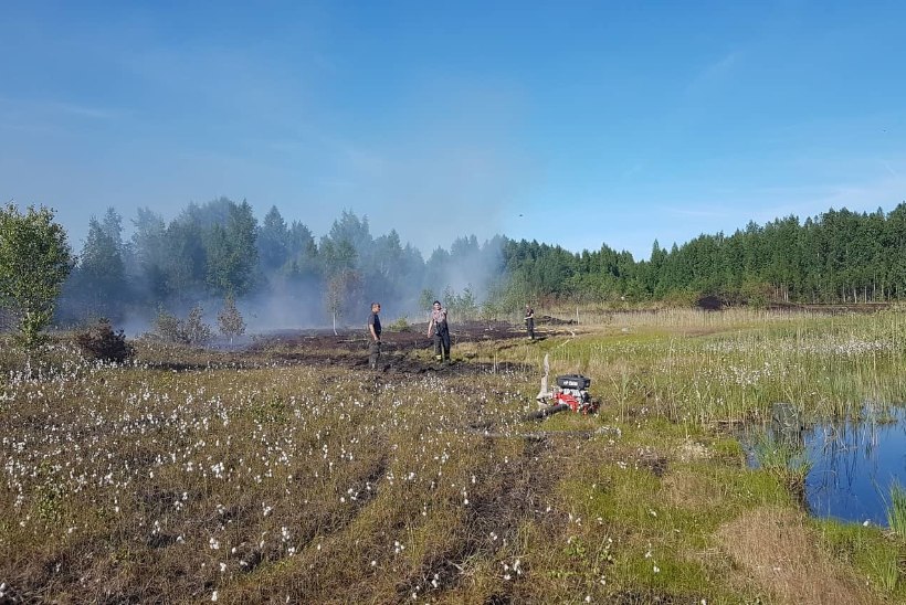 Metsad ja rabad põlevad: põua tõttu puhkesid üle Eesti kümned tulekahjud