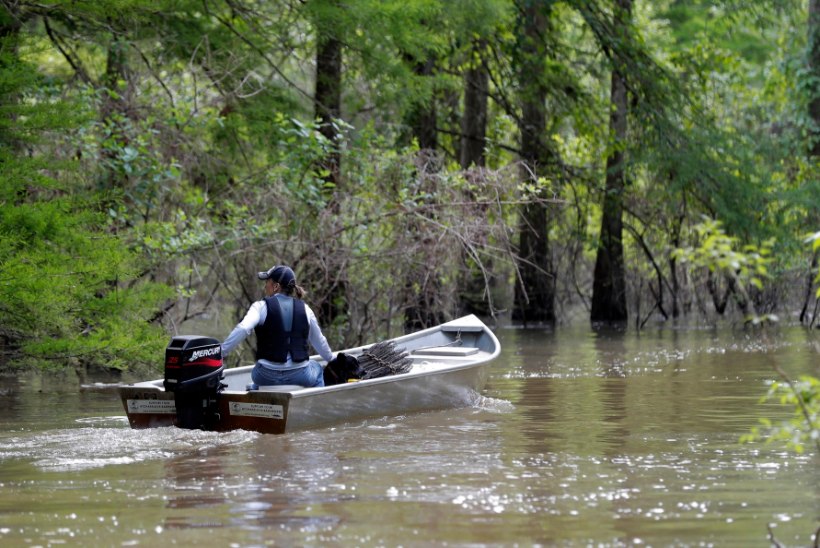 Louisiana vetes pesitsevad ajusid söövad tapja-amööbid