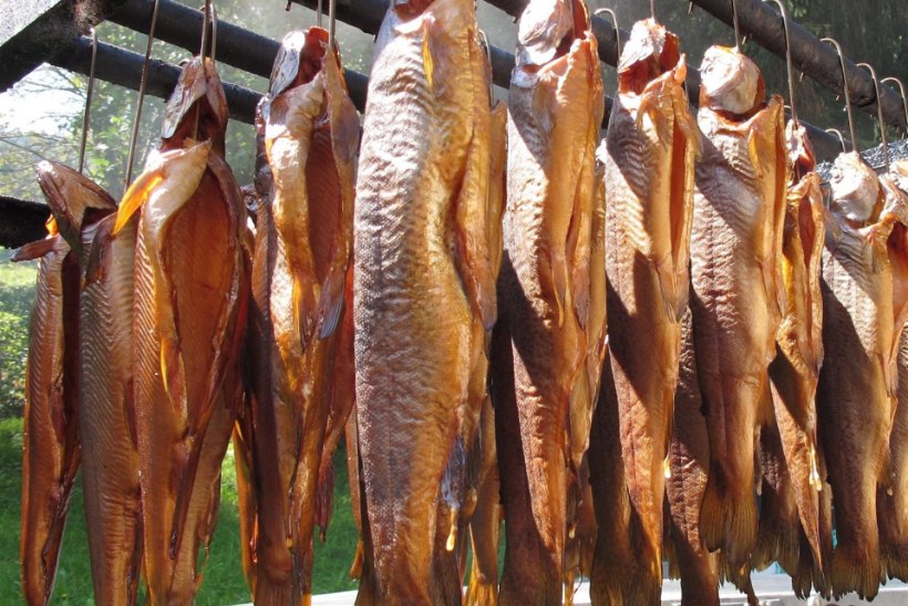 Edukaimad on Saaremaal ikka kalatööstused