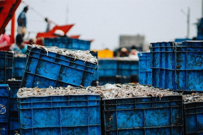 Hiina Rahvavabariik mõjutab kalandust järgmised kümme aastat