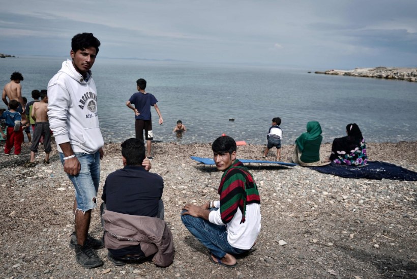 Vahistati migrante Lesbose saarele aidanud vabaühenduse juht