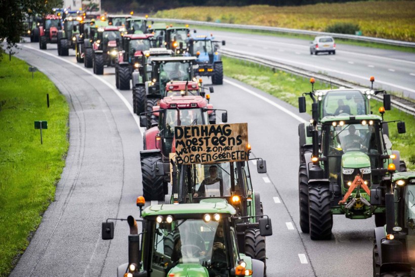 FOTOUUDIS | Traktoriprotest vallandas Hollandi ajaloo suurima liiklusummiku