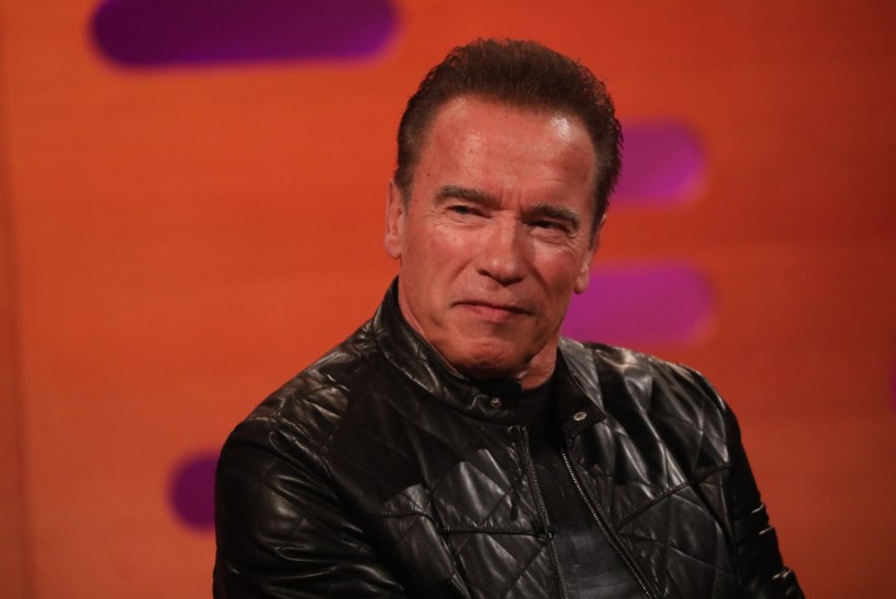 Mullune südamelõikus oleks Schwarzeneggeri äärepealt tapnud