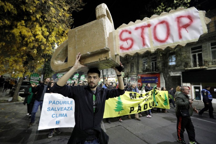 „Meie mets pole teie vara!“ Tuhanded rumeenlased protestisid metsamaffia vastu