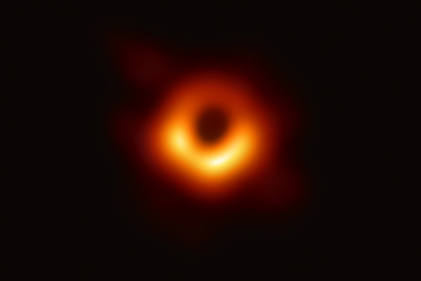 Selge pilt – see ongi must auk! Aga mis selle pildi ikkagi nii eriliseks teeb?