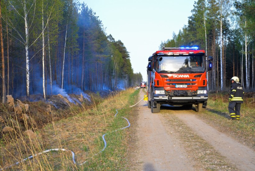 VIDEO JA FOTOD | Viljandimaal põles 22 hektarit metsa