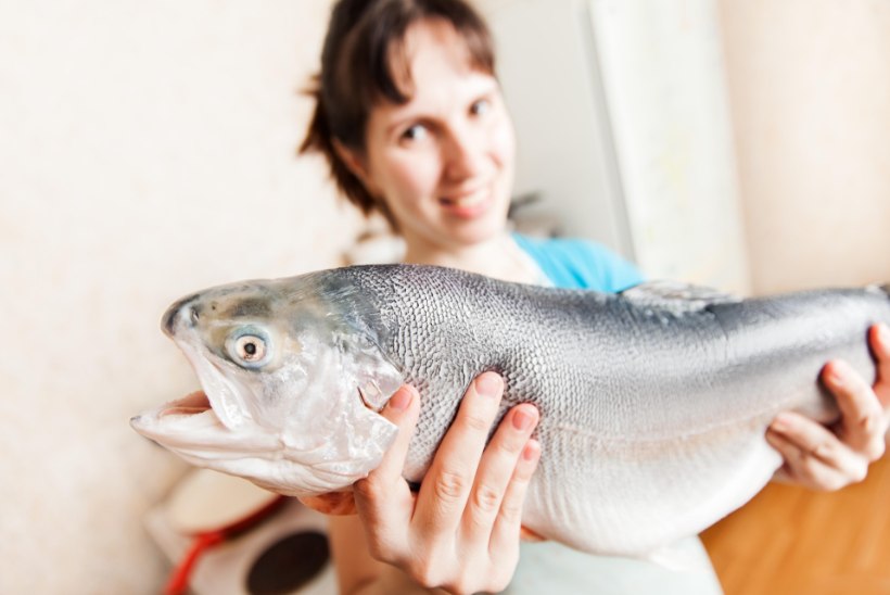 TOETA TOIDUGA SÜDANT: kui palju peaks sööma kala, kui palju liha?