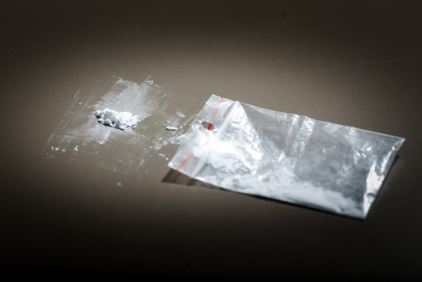 FOTOD | Pärnumaal leiti riigipiiri ületanud autost suur kogus kokaiini