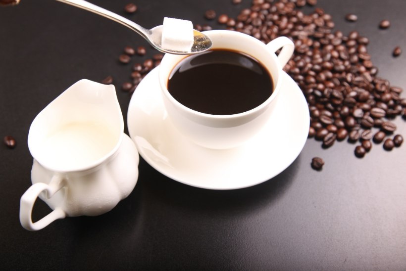 KOHVISÕPRU RÕÕMUSTAV UURING: kuni 25 tassi kohvi päevas ei kujuta südamele ohtu