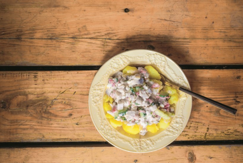 Hõrgutis, mis maitseb kõige paremini just südasuvel: heeringa-kodujuustukaste värske kartuliga