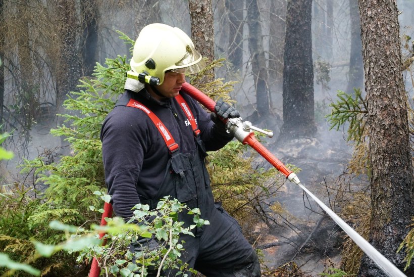 FOTOD | Päästjad kustutavad Paide läheduses metsapõlengut