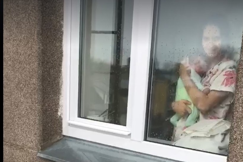 VIDEO | Nii armas! Isa läks vastsündinud poega tõstukiga vaatama