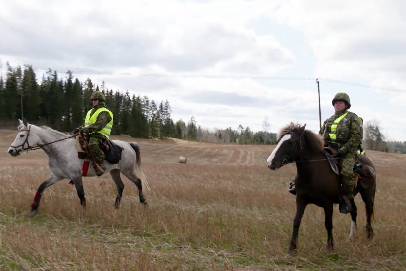 TV3 VIDEO | Uuenduslik lähenemine: Eesti lõunapiiri valvab ratsapatrull 