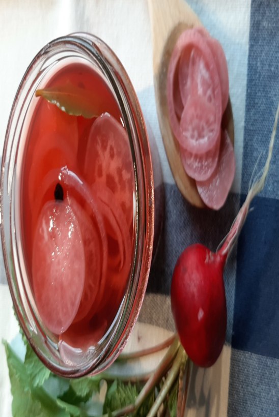 HOOAJA ESIMESED HOIDISED: marineeritud redised punase sibulaga