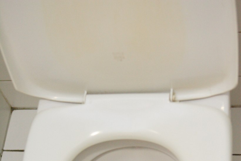 Koolikaaslase WC-potti surumine tõi noorukile kohtuasja 