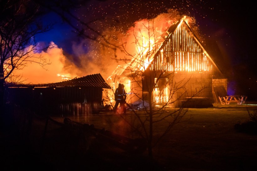 GALERII | Saaremaal hävisid tulekahjus saun ja puukuur, tuli õnneks elumajani ei küündinud