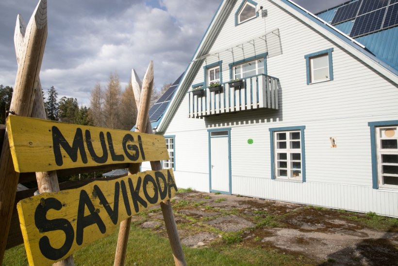 KOROONAKEVAD KODUMAAL: suur ülevaade, mida teha Mulgimaal  