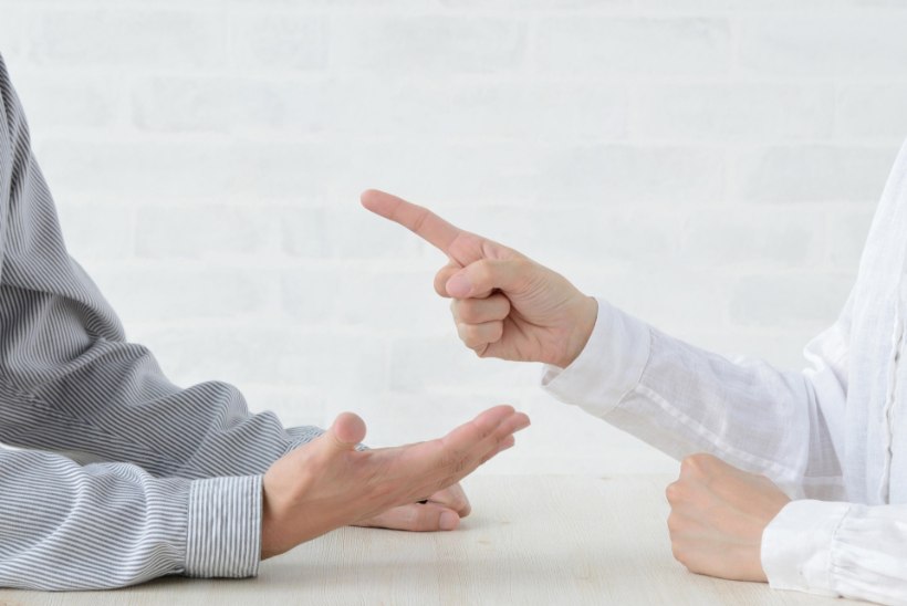 KODUSEINTE VAHEL LENDAB SÄDEMEID? Need on lihtsad ja töötavad nipid, kuidas erimeelsusi lahendada 